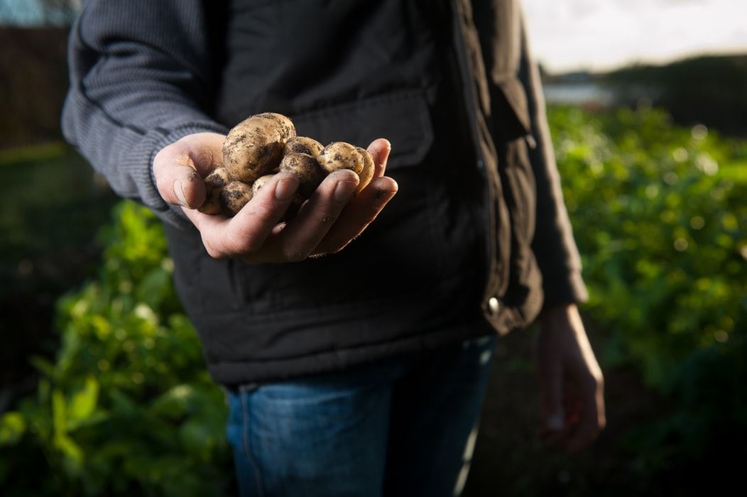 Registration of agricultural entities in the register of public sector partners